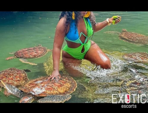 Bouncy Butty, escort in Point e', Senegal (photo 4)