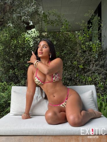 Yari