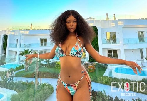 Gina, escort in Mamelles, Senegal